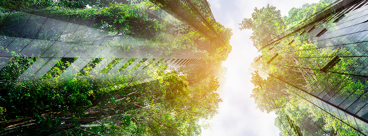 Sustainable development and occupational safety